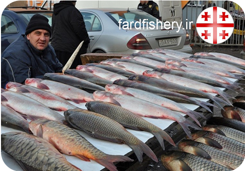 آمار، خوراک و بازار ماهی در گرجستان