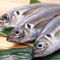 DIAGNOSING THE CAUSE OF FISH POISONING