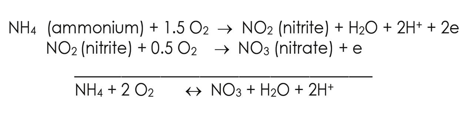 ორი ძირითადი ფაქტორი გავლენას ახდენს წყლის მიმოქცევის სისტემის pH- ზე