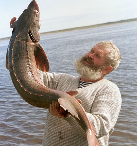 Rusya'da balık yetiştiriciliğinin tarihçesi