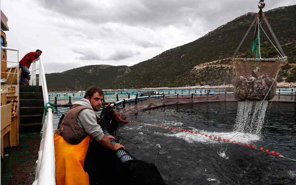 پرورش ماهی در تاجیکستان