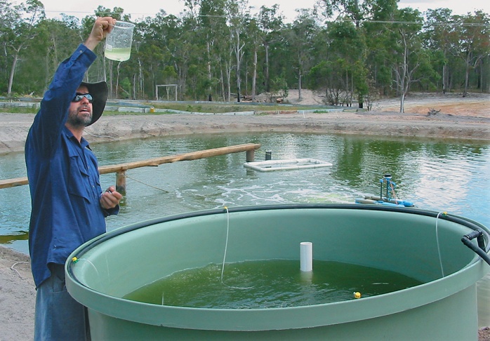 پرورش ماهی در استرالیا